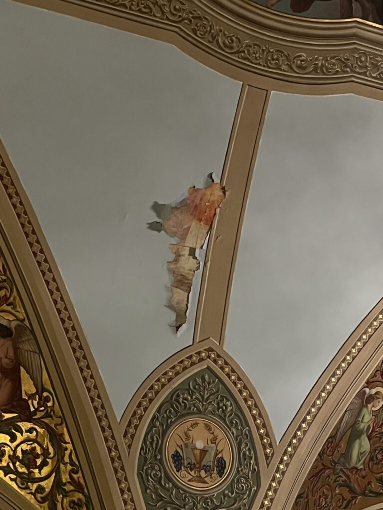 335957A6-8CE4-4E2D-9971-FD562A43A18F_1_102_o